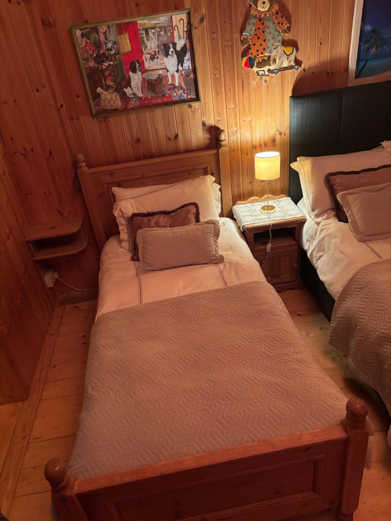 Cosy Countryside Log Cabin Kilkenny Ngoại thất bức ảnh