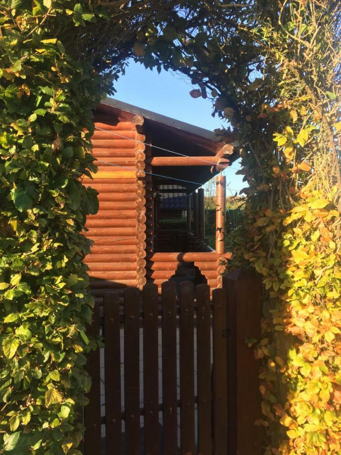 Cosy Countryside Log Cabin Kilkenny Ngoại thất bức ảnh