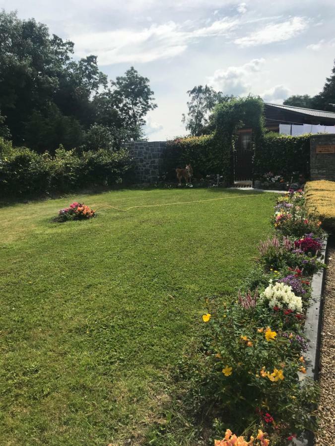 Cosy Countryside Log Cabin Kilkenny Ngoại thất bức ảnh