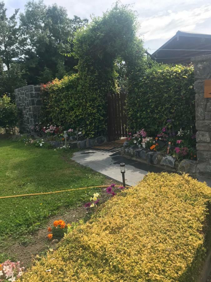 Cosy Countryside Log Cabin Kilkenny Ngoại thất bức ảnh